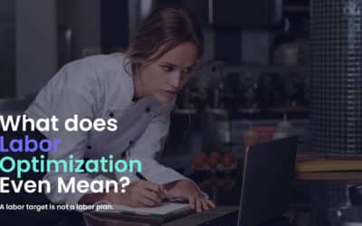 What Does Labor Optimization Even Mean?